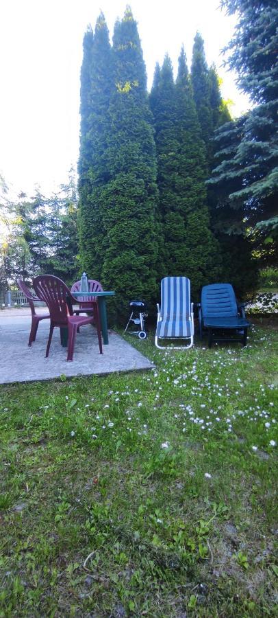 Apartamenty Z Ogrodem Nr 1 Studio 므랑고보 외부 사진